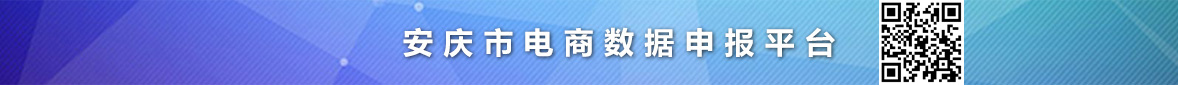 安庆市电商数据申报平台